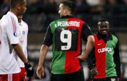 了成熟的球 了成熟的球